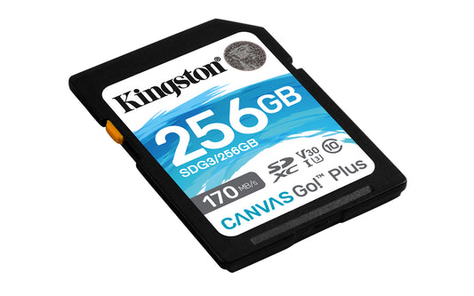 SDXC card 256GB Canvas Go Plus 170R C10 UHS-I U3 V30