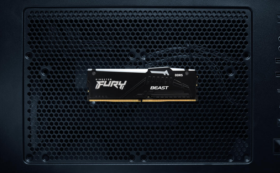 Kingston FURY Beast RGB - DDR5 - mÃ³dulo - 8 GB - DIMM 288-pin - 6000 MHz / PC5-48000 - CL36 - 1.35 V - unbuffered - on-die ECC - preto