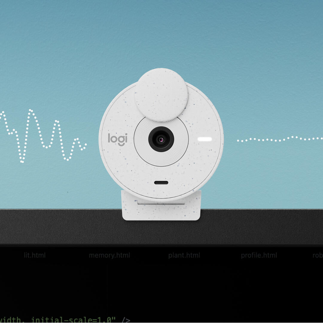 BRIO 300 FULL HD WEBCAM CAM