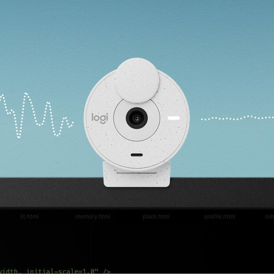 BRIO 300 FULL HD WEBCAM CAM