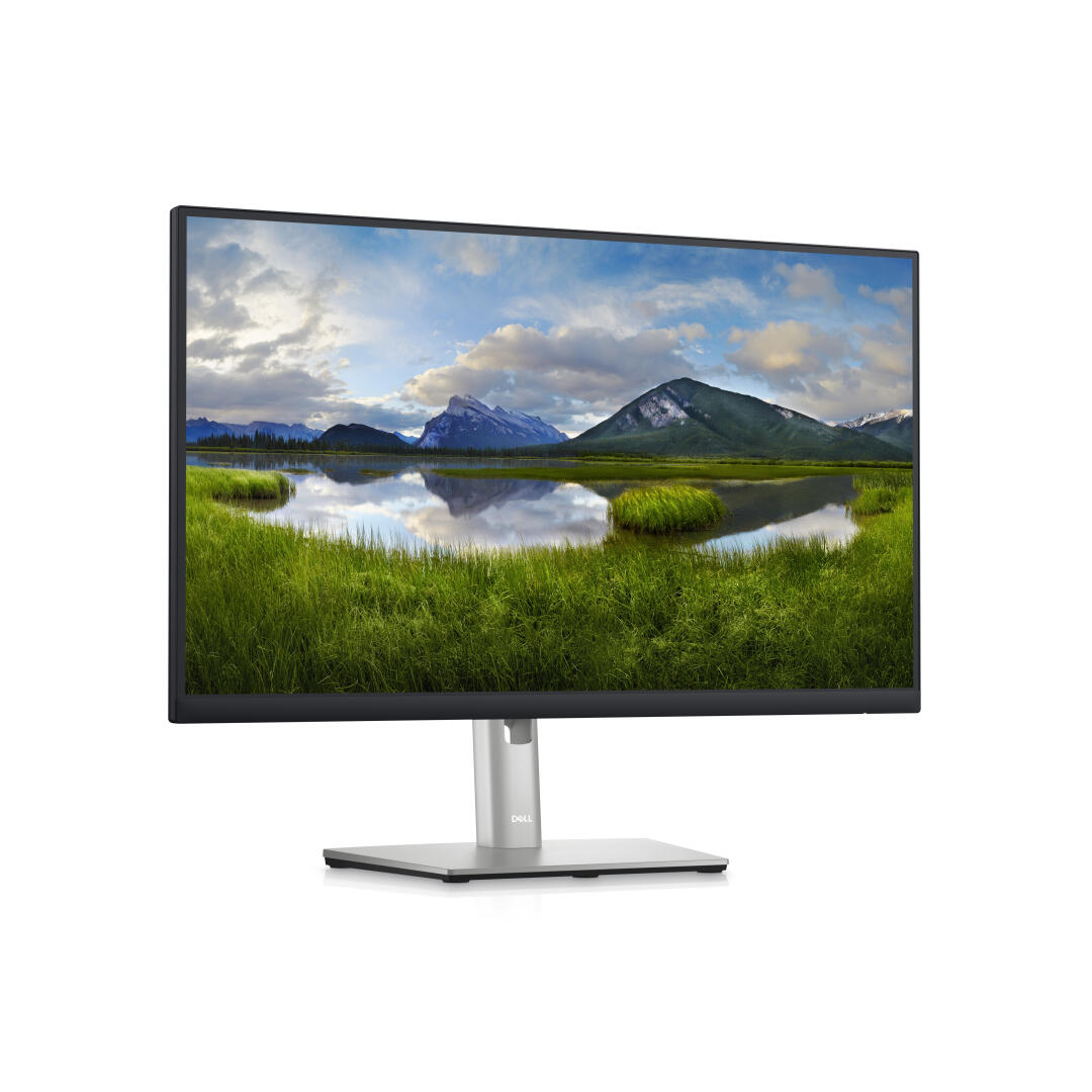 Dell Technologies DELL P2423DE MONITOR USB-CHUB 24" - DELL-P2423DE