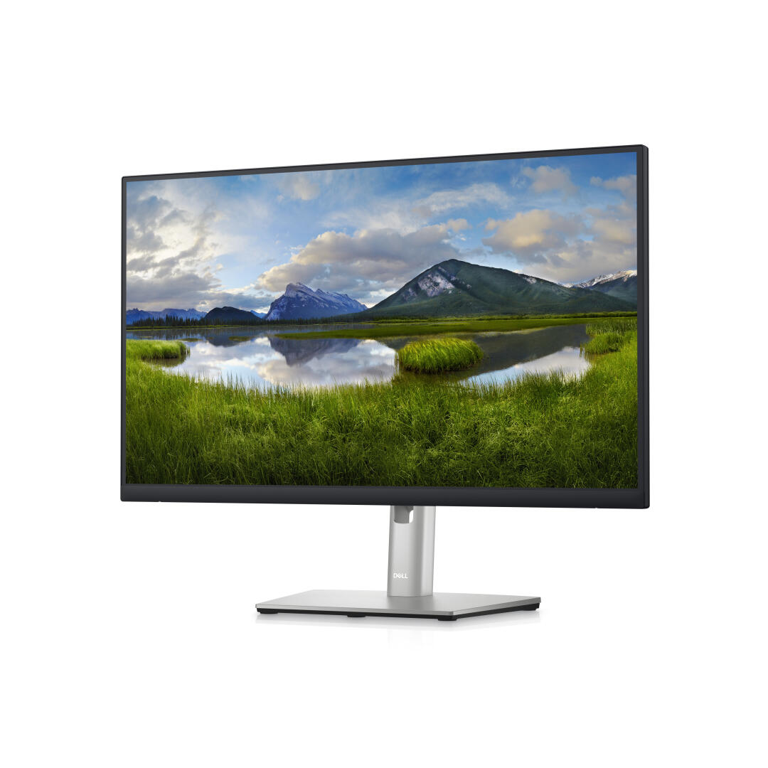 Dell Technologies DELL P2423DE MONITOR USB-CHUB 24" - DELL-P2423DE