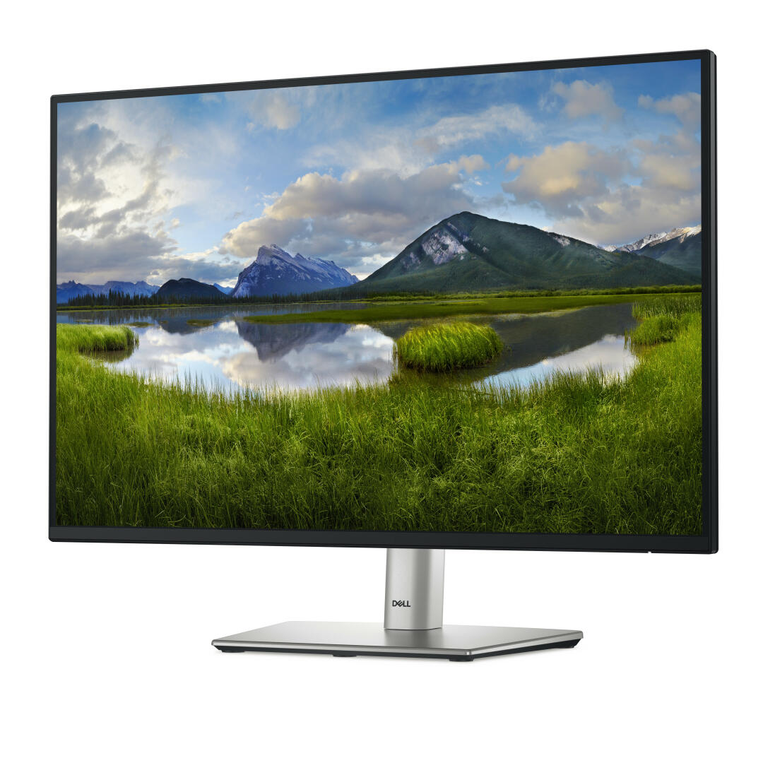 Monitor Dell P2425 | 24" | Full HD | Preto