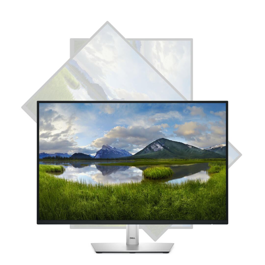 Monitor Dell P2425 | 24" | Full HD | Preto