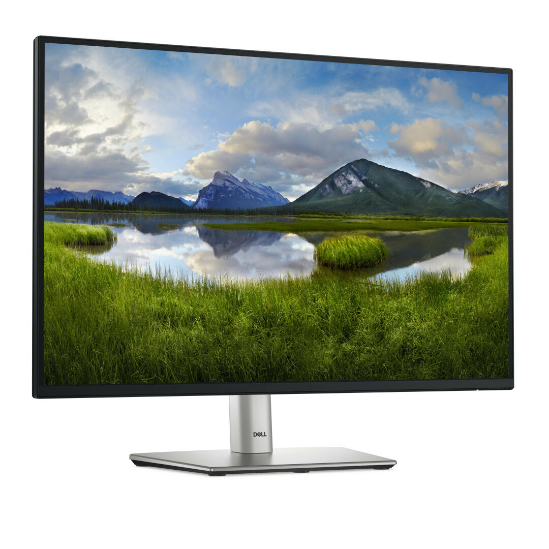 DELL MONITOR 24" USB-C HUB - P2425E