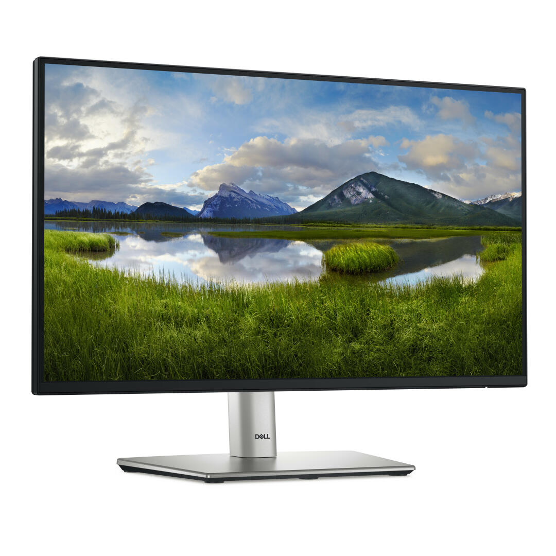 Dell Technologies DELL P2225H MONITOR 22 - DELL-P2225H