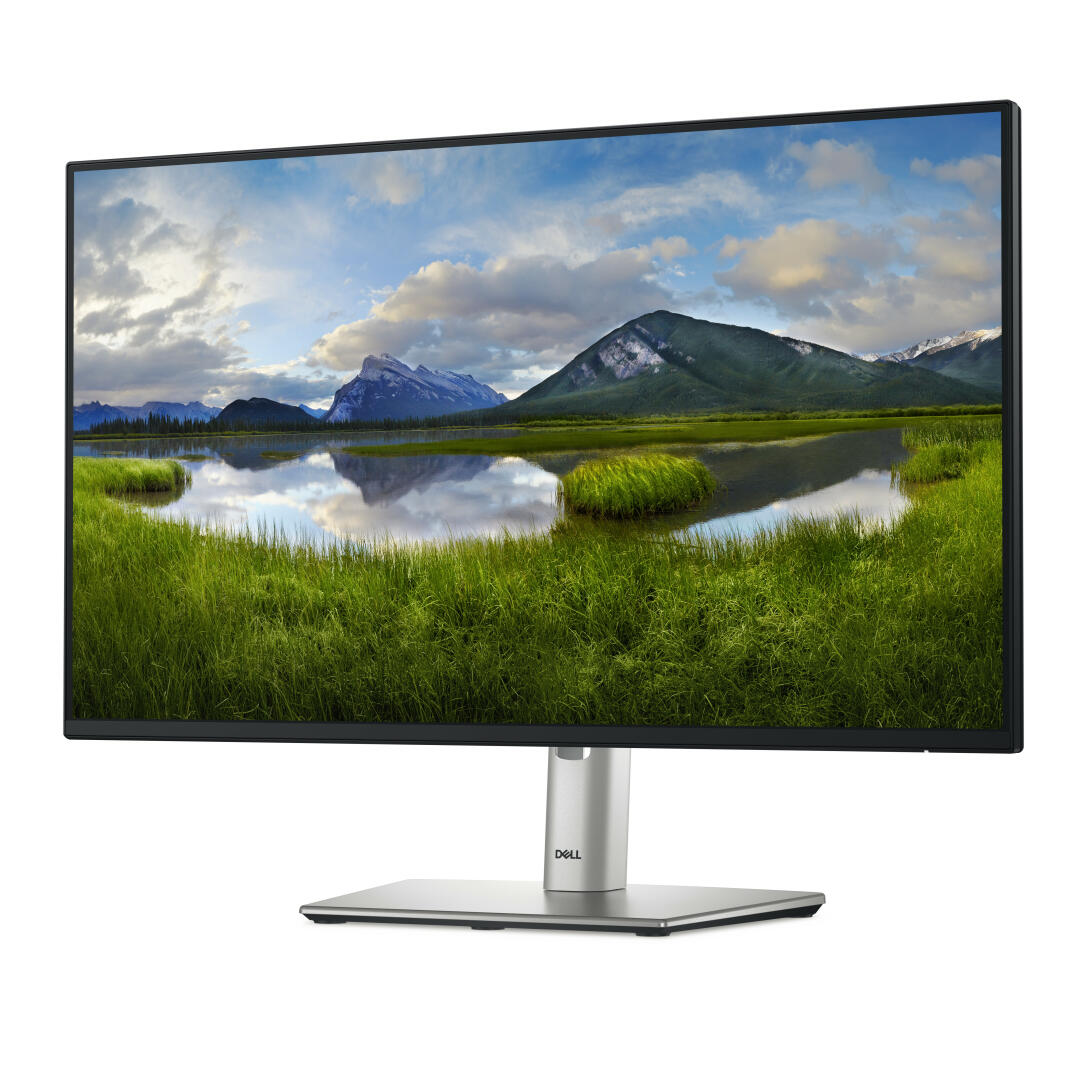 Dell Technologies DELL P2425HE MONITOR USB-CHUB 24 - DELL-P2425HE