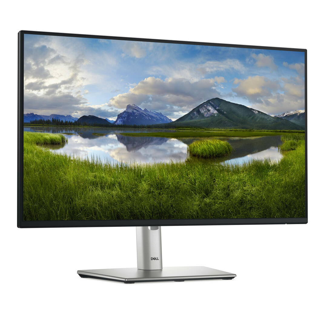 Dell Technologies DELL P2425HE MONITOR USB-CHUB 24 - DELL-P2425HE